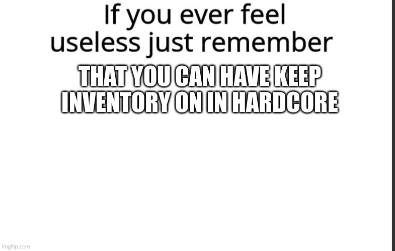 It makes no sense | THAT YOU CAN HAVE KEEP INVENTORY ON IN HARDCORE | image tagged in if you ever feel useless remember this | made w/ Imgflip meme maker