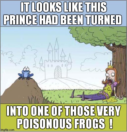 It Really Wasn't Her Day ! | IT LOOKS LIKE THIS PRINCE HAD BEEN TURNED; INTO ONE OF THOSE VERY
 POISONOUS FROGS  ! | image tagged in fairy tales,prince,frog,poison | made w/ Imgflip meme maker