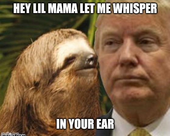 Political advice sloth | HEY LIL MAMA LET ME WHISPER; IN YOUR EAR | image tagged in political advice sloth,ying yang twins,whisper song,funny,lyrics | made w/ Imgflip meme maker