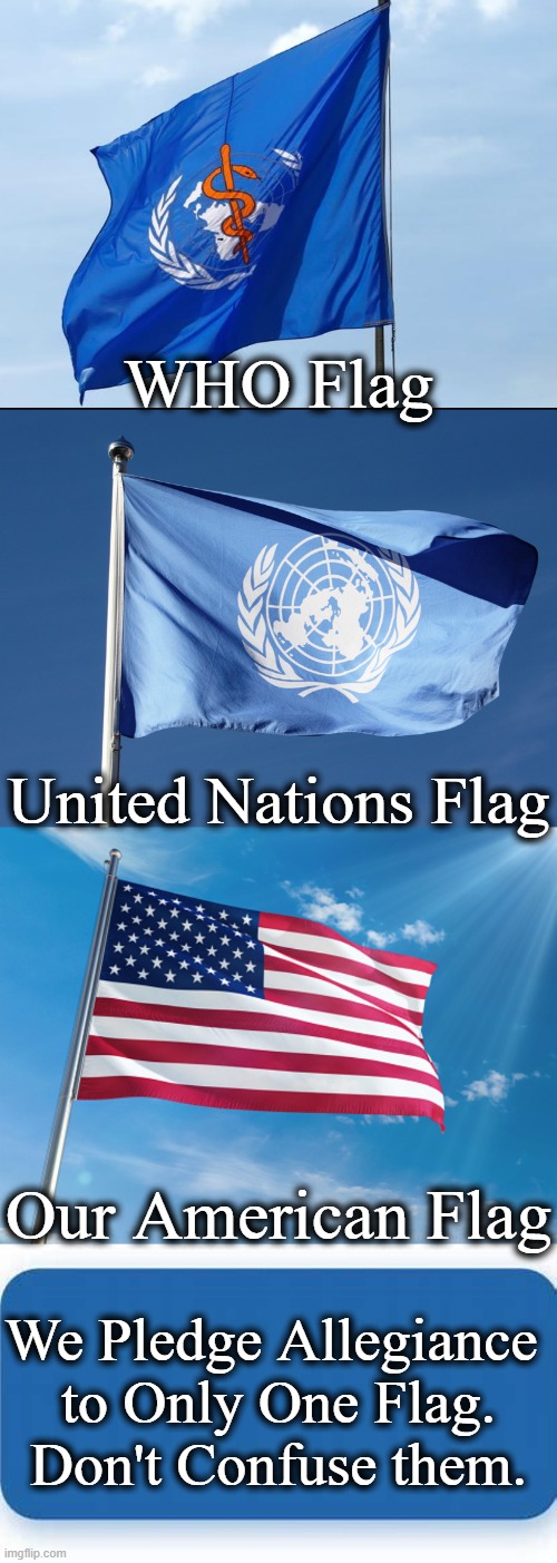 We are a sovereign nation & pledge allegiance to the United States of America | WHO Flag; United Nations Flag; Our American Flag; We Pledge Allegiance 
to Only One Flag.
Don't Confuse them. | image tagged in politics,american flag,sovereignty,allegiance,america,united nations | made w/ Imgflip meme maker