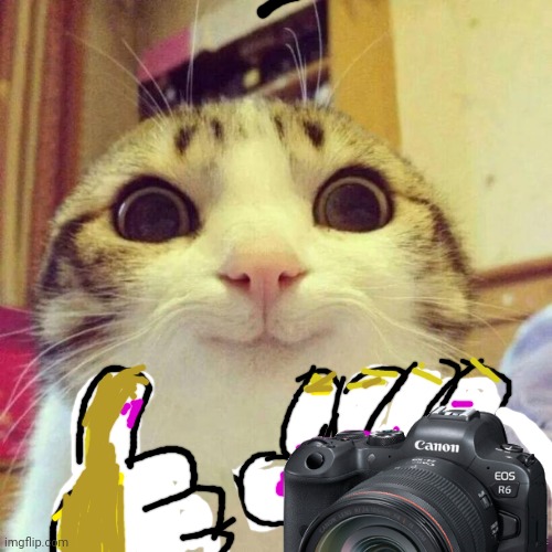 Camera man watching animal get mauled to death | made w/ Imgflip meme maker