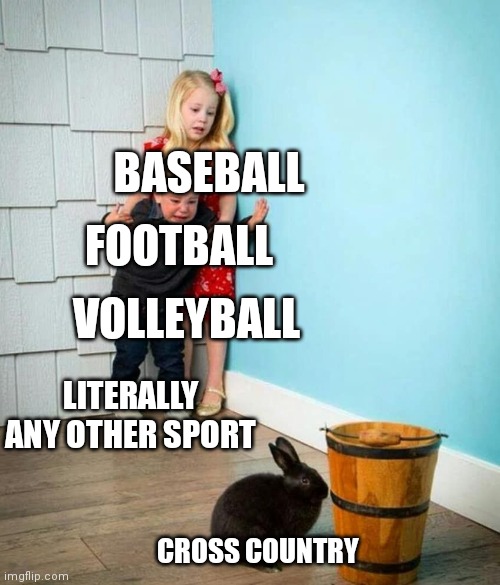 Children scared of rabbit | BASEBALL; FOOTBALL; VOLLEYBALL; LITERALLY ANY OTHER SPORT; CROSS COUNTRY | image tagged in children scared of rabbit | made w/ Imgflip meme maker