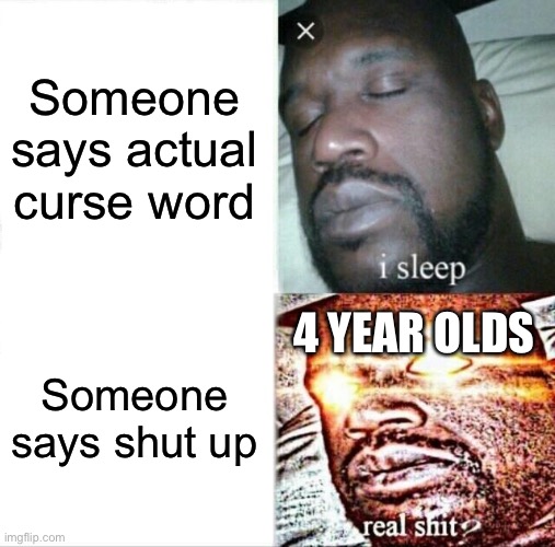 oOOoOoOh hE sAiD a bAd wOrD | Someone says actual curse word; Someone says shut up; 4 YEAR OLDS | image tagged in memes,sleeping shaq | made w/ Imgflip meme maker