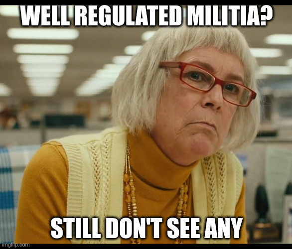 When Americans argue for more 2nd amendment guns with no control | WELL REGULATED MILITIA? STILL DON'T SEE ANY | image tagged in jlc,gun control | made w/ Imgflip meme maker