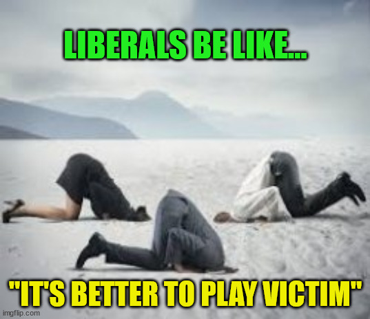 Liberal ideology... | LIBERALS BE LIKE... "IT'S BETTER TO PLAY VICTIM" | image tagged in victim,politics | made w/ Imgflip meme maker