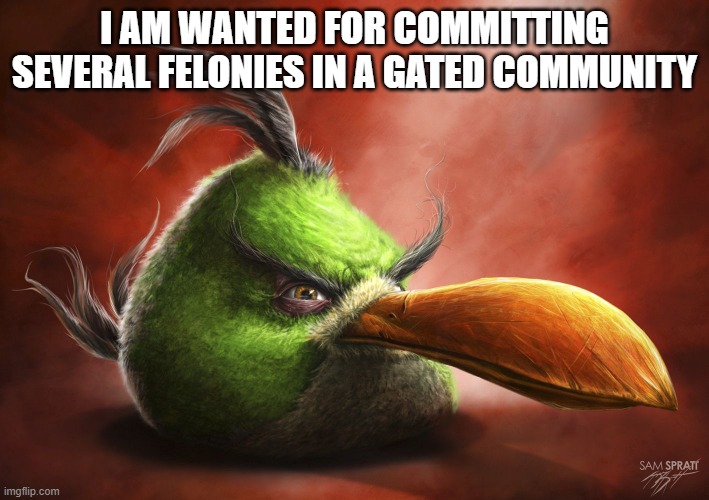 insert good title here | I AM WANTED FOR COMMITTING SEVERAL FELONIES IN A GATED COMMUNITY | image tagged in realistic angry bird,memes,funny,angry birds | made w/ Imgflip meme maker