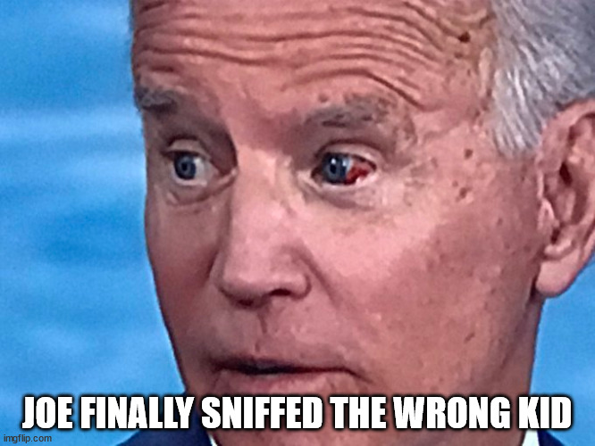 Sniffer in chief... | JOE FINALLY SNIFFED THE WRONG KID | image tagged in dementia,joe biden | made w/ Imgflip meme maker