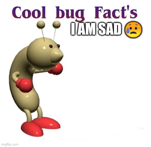 Cool Bug Facts | I AM SAD ? | image tagged in cool bug facts | made w/ Imgflip meme maker