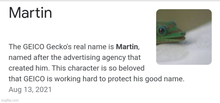 Just if you were wondering, this is the gieco gecko's real name | image tagged in gieco gecko | made w/ Imgflip meme maker