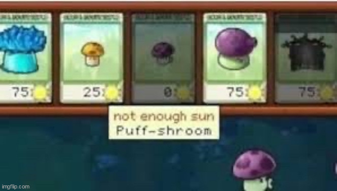 we cry | made w/ Imgflip meme maker