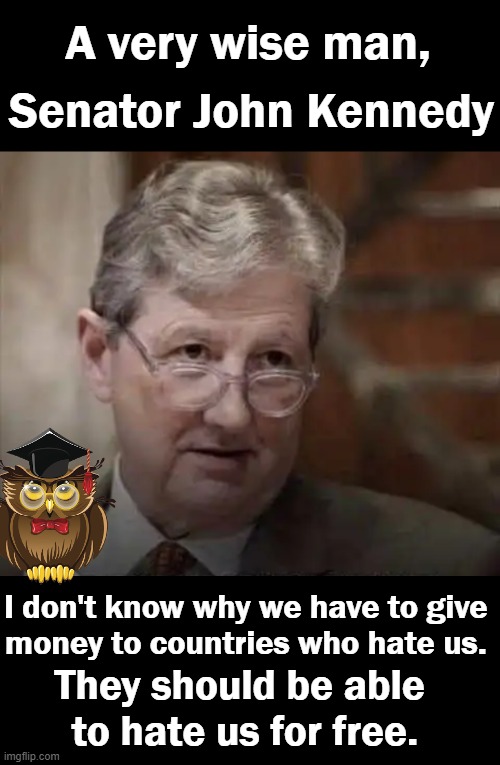 Common Sense Comeback | A very wise man, Senator John Kennedy; I don't know why we have to give 
money to countries who hate us. They should be able 
to hate us for free. | image tagged in politics,common sense,conservative logic,kennedy,america,money | made w/ Imgflip meme maker