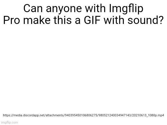 Please do so! | Can anyone with Imgflip Pro make this a GIF with sound? https://media.discordapp.net/attachments/940395450106806275/980521240034947143/20210613_1080p.mp4 | image tagged in blank white template,memes,gifs | made w/ Imgflip meme maker