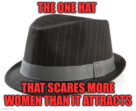 Logic Fedora | THE ONE HAT; THAT SCARES MORE WOMEN THAN IT ATTRACTS | image tagged in logic fedora,memes,dank memes | made w/ Imgflip meme maker