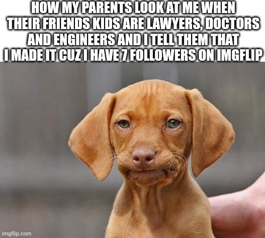 Dissapointed puppy | HOW MY PARENTS LOOK AT ME WHEN THEIR FRIENDS KIDS ARE LAWYERS, DOCTORS AND ENGINEERS AND I TELL THEM THAT I MADE IT CUZ I HAVE 7 FOLLOWERS ON IMGFLIP | image tagged in dissapointed puppy | made w/ Imgflip meme maker