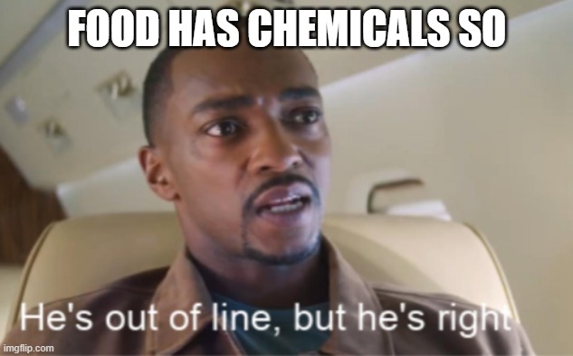 He's out of line but he's right (isolated) | FOOD HAS CHEMICALS SO | image tagged in he's out of line but he's right isolated | made w/ Imgflip meme maker