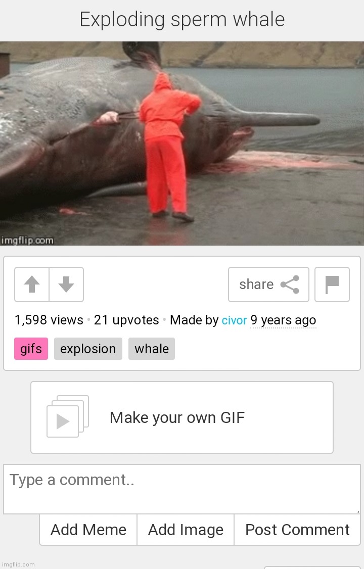 didn't expect this to show up when i accidentally press flip through images | made w/ Imgflip meme maker