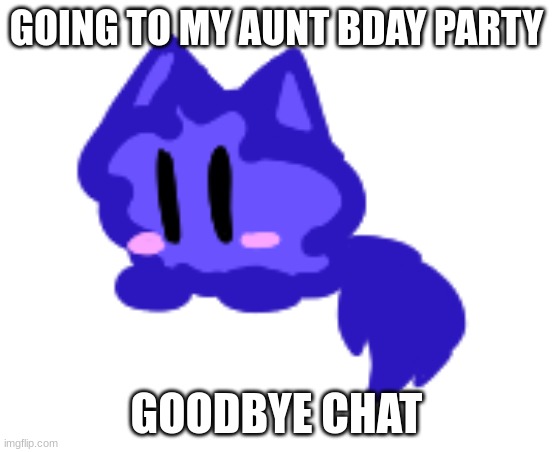 beby cloud | GOING TO MY AUNT BDAY PARTY; GOODBYE CHAT | image tagged in beby cloud | made w/ Imgflip meme maker