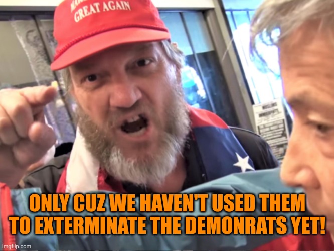 Angry Trump Supporter | ONLY CUZ WE HAVEN'T USED THEM
TO EXTERMINATE THE DEMONRATS YET! | image tagged in angry trump supporter | made w/ Imgflip meme maker
