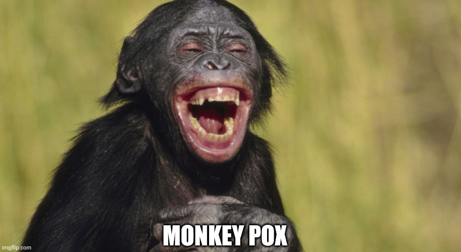 laughing monkey,memes | MONKEY POX | image tagged in laughing monkey memes | made w/ Imgflip meme maker