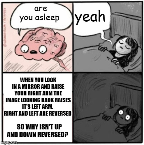 Brain | WHEN YOU LOOK IN A MIRROR AND RAISE YOUR RIGHT ARM THE IMAGE LOOKING BACK RAISES IT'S LEFT ARM.  RIGHT AND LEFT ARE REVERSED; SO WHY ISN'T UP AND DOWN REVERSED? | image tagged in brain before sleep | made w/ Imgflip meme maker