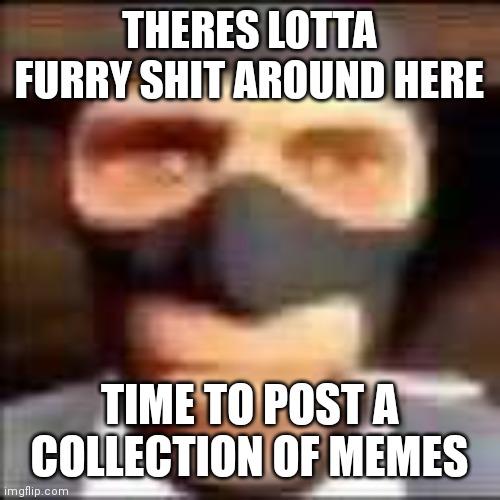 spi | THERES LOTTA FURRY SHIT AROUND HERE; TIME TO POST A COLLECTION OF MEMES | image tagged in spi | made w/ Imgflip meme maker