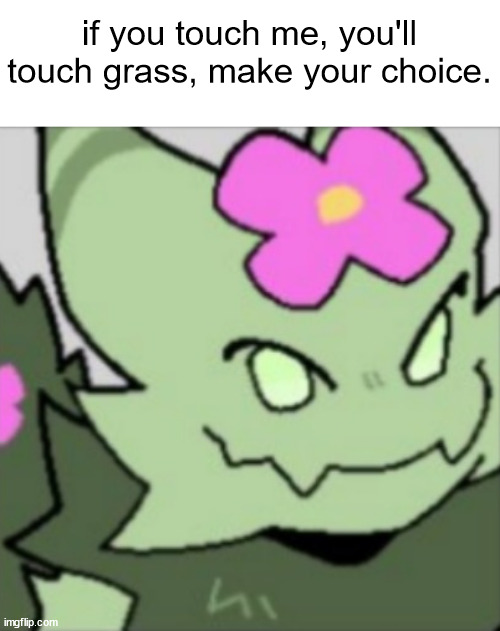 gooposting | if you touch me, you'll touch grass, make your choice. | made w/ Imgflip meme maker