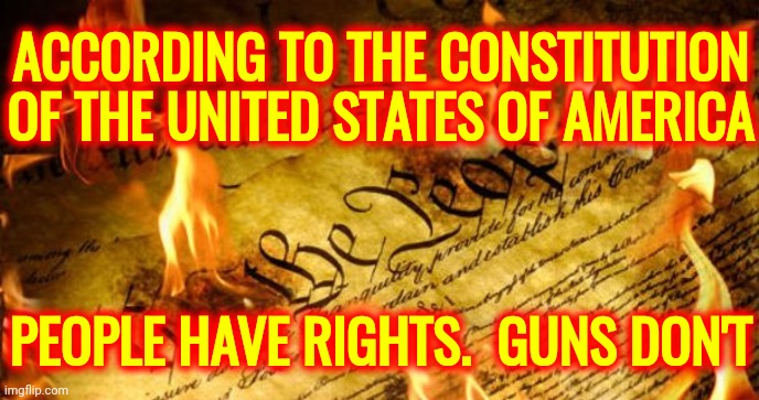 Constitution In Flames | ACCORDING TO THE CONSTITUTION OF THE UNITED STATES OF AMERICA; PEOPLE HAVE RIGHTS.  GUNS DON'T | image tagged in constitution in flames,trumpublican terrorists,gun control,guns,dead children,stop killing the children | made w/ Imgflip meme maker
