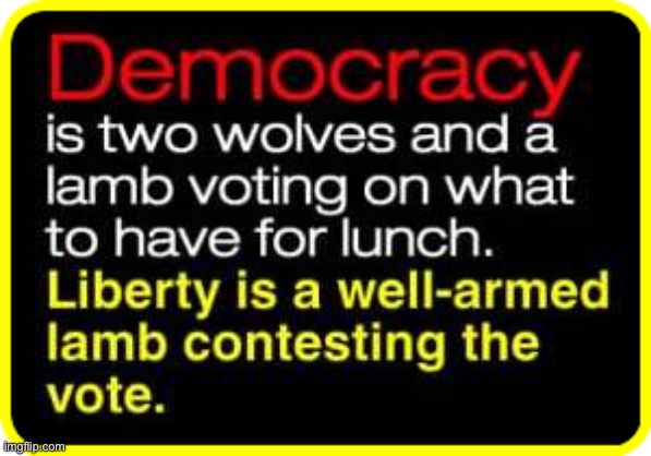 Democracy and Liberty | image tagged in democracy,liberty,two wolves and a lamb | made w/ Imgflip meme maker