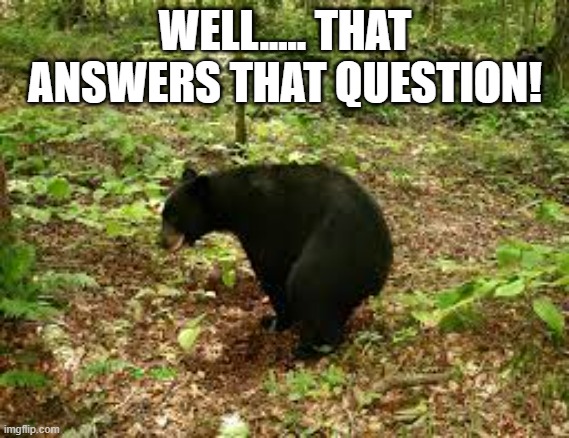 bear poo |  WELL..... THAT ANSWERS THAT QUESTION! | image tagged in bear,big questions,funny,woods | made w/ Imgflip meme maker