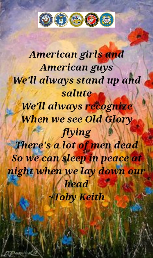 On Memorial Day | image tagged in toby keith,courtesy of the red white and blue,veteran tribrute | made w/ Imgflip meme maker