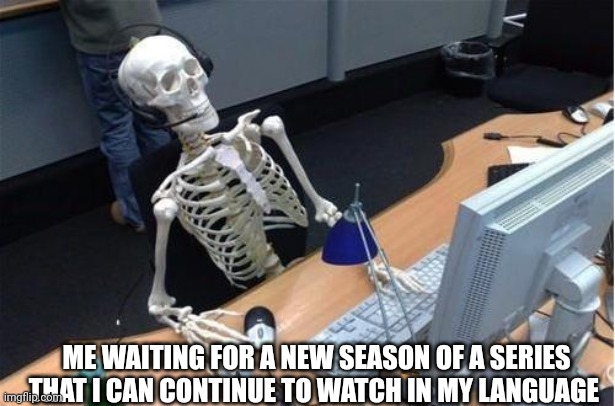 Skeleton at desk/computer/work | ME WAITING FOR A NEW SEASON OF A SERIES THAT I CAN CONTINUE TO WATCH IN MY LANGUAGE | image tagged in skeleton at desk/computer/work | made w/ Imgflip meme maker