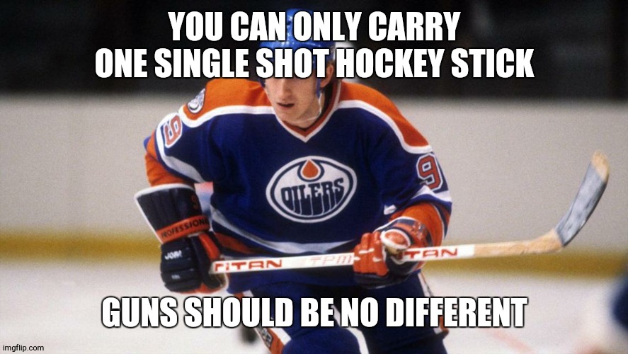 hunting should be skill based | YOU CAN ONLY CARRY ONE SINGLE SHOT HOCKEY STICK; GUNS SHOULD BE NO DIFFERENT | image tagged in wayne gretzky,gun control | made w/ Imgflip meme maker