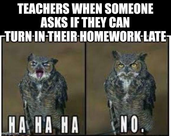 Hahaha No | TEACHERS WHEN SOMEONE ASKS IF THEY CAN TURN IN THEIR HOMEWORK LATE | image tagged in hahaha no | made w/ Imgflip meme maker