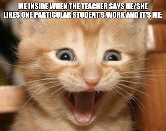 has this ever hapened to you at school? | ME INSIDE WHEN THE TEACHER SAYS HE/SHE LIKES ONE PARTICULAR STUDENT'S WORK AND IT'S ME: | image tagged in memes,excited cat | made w/ Imgflip meme maker