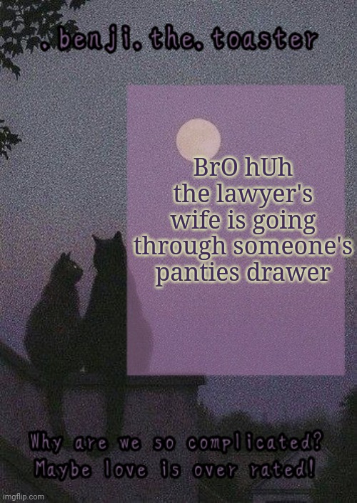 benji mooncore template | BrO hUh the lawyer's wife is going through someone's panties drawer | image tagged in benji mooncore template | made w/ Imgflip meme maker