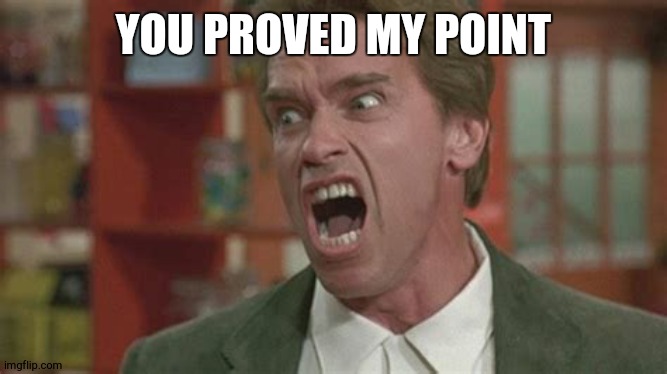 Angry | YOU PROVED MY POINT | image tagged in angry | made w/ Imgflip meme maker