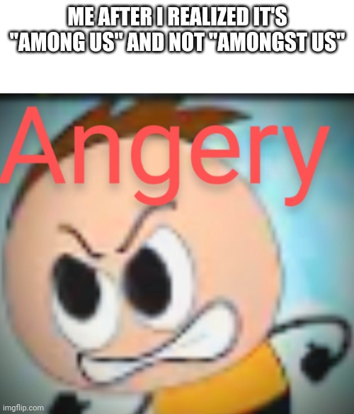 A good example | ME AFTER I REALIZED IT'S "AMONG US" AND NOT "AMONGST US" | image tagged in angery,memes,funny | made w/ Imgflip meme maker