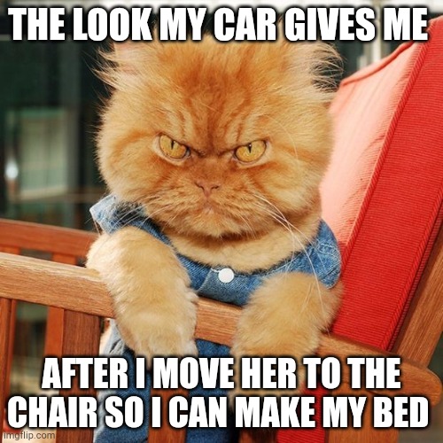 Garfi The Angry Cat | THE LOOK MY CAR GIVES ME; AFTER I MOVE HER TO THE CHAIR SO I CAN MAKE MY BED | image tagged in garfi the angry cat | made w/ Imgflip meme maker