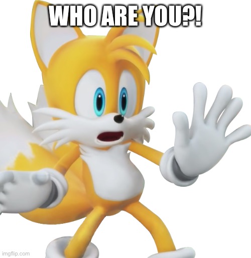 Shocked tails | WHO ARE YOU?! | image tagged in shocked tails | made w/ Imgflip meme maker