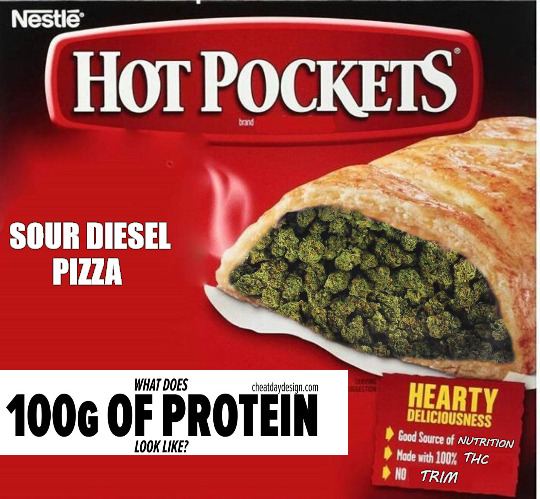 LUNCH TIME | SOUR DIESEL
PIZZA; THC; NUTRITION; TRIM | image tagged in hot pocket | made w/ Imgflip meme maker