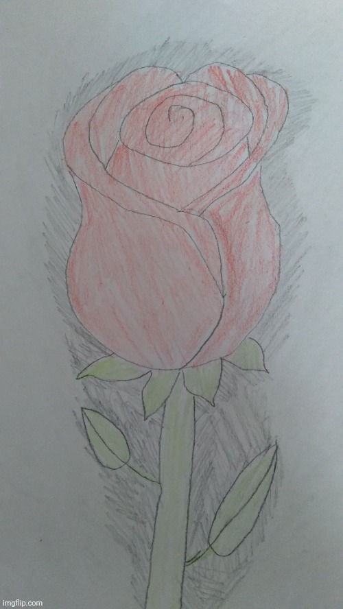 Just a sketch | image tagged in drawing,drawings,rose,sketch | made w/ Imgflip meme maker