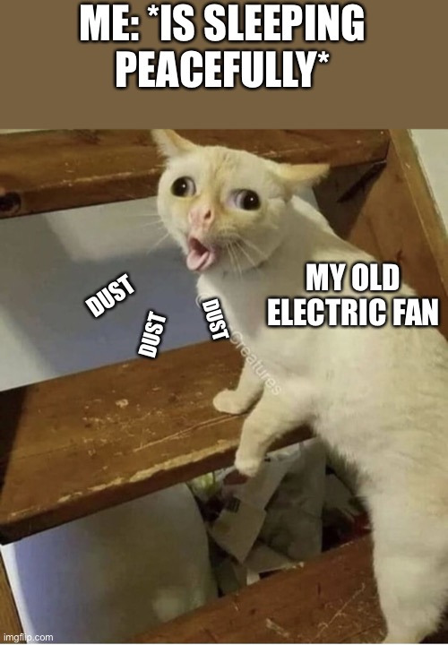 I should probably clean it, but that seems like more work than inhaling clumps of dust | ME: *IS SLEEPING PEACEFULLY*; MY OLD ELECTRIC FAN; DUST; DUST; DUST | image tagged in cat cough,dust,cough,coughing cat,fan | made w/ Imgflip meme maker