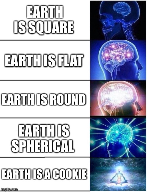 Technically the Truth… | EARTH IS SQUARE; EARTH IS FLAT; EARTH IS ROUND; EARTH IS SPHERICAL; EARTH IS A COOKIE | image tagged in expanding brain 5 panel | made w/ Imgflip meme maker