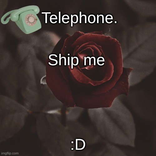 Ship me; :D | image tagged in template | made w/ Imgflip meme maker