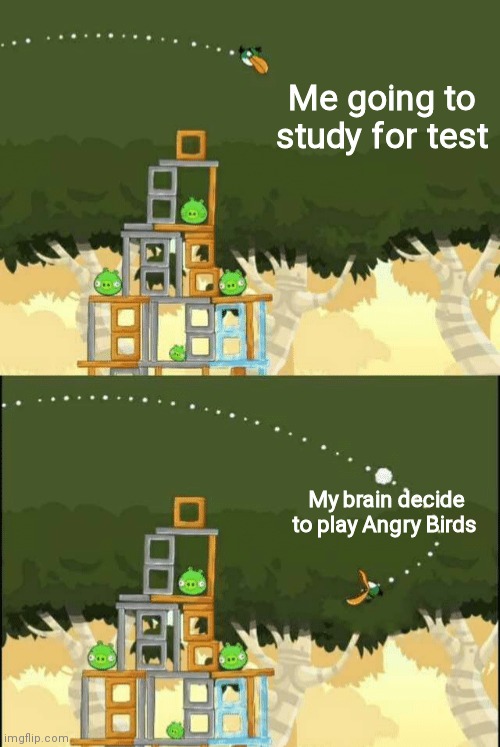 Angry Birds Hal but | Me going to study for test; My brain decide to play Angry Birds | image tagged in angry birds hal but | made w/ Imgflip meme maker