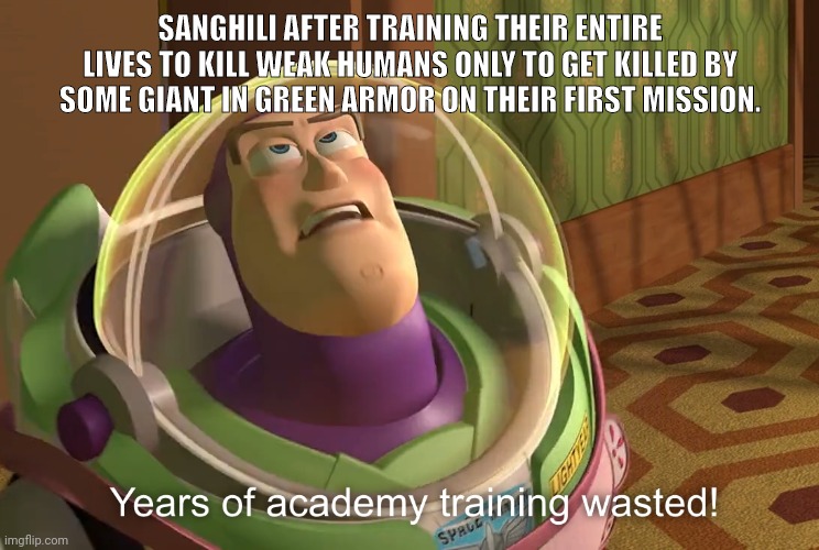 years of academy training wasted |  SANGHILI AFTER TRAINING THEIR ENTIRE LIVES TO KILL WEAK HUMANS ONLY TO GET KILLED BY SOME GIANT IN GREEN ARMOR ON THEIR FIRST MISSION. | image tagged in years of academy training wasted,halo,memes,funny memes,funny,halo 5 | made w/ Imgflip meme maker