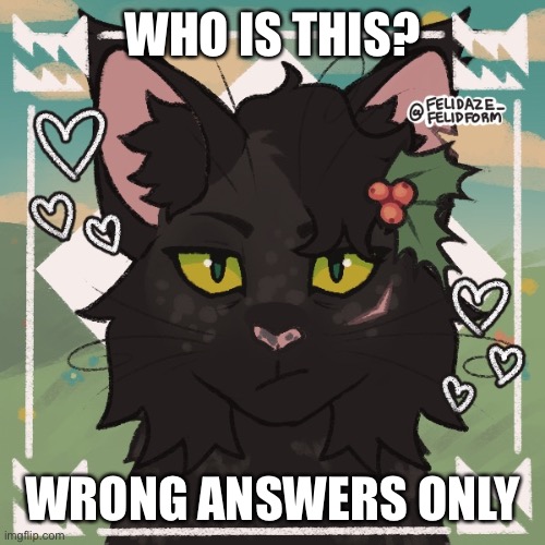 Wrong answers only | WHO IS THIS? WRONG ANSWERS ONLY | image tagged in hollyleaf | made w/ Imgflip meme maker