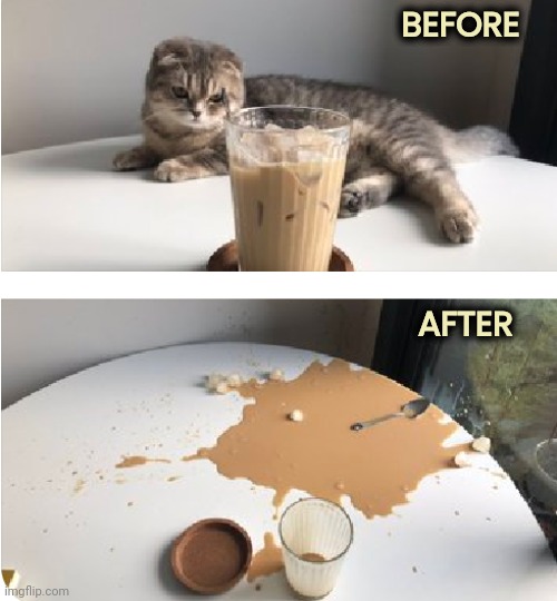 From the "What were you thinking ?" File |  BEFORE; AFTER | image tagged in chocolate milk,the most interesting cat in the world,messy,eater | made w/ Imgflip meme maker