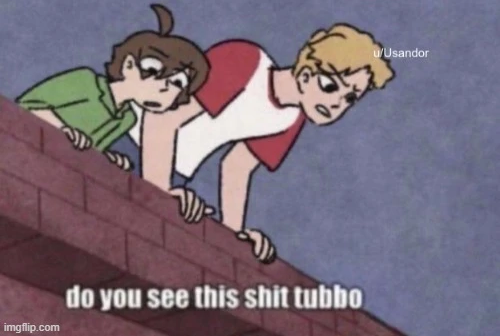 do you see this shit tubbo Blank Meme Template