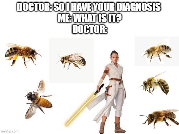 too bad | DOCTOR: SO I HAVE YOUR DIAGNOSIS 
ME: WHAT IS IT?
DOCTOR: | image tagged in blank white template,bees,star wars,disease,memes,funny | made w/ Imgflip meme maker